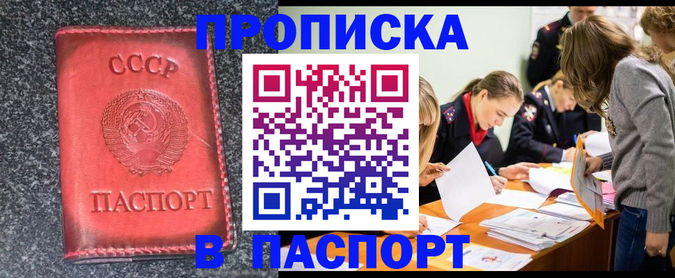 прописка для школы в Королёве